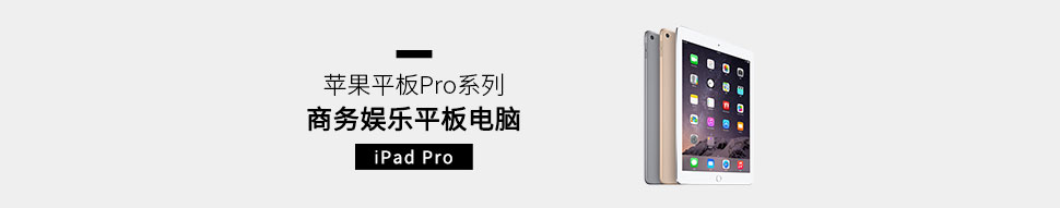 Pro_01.jpg